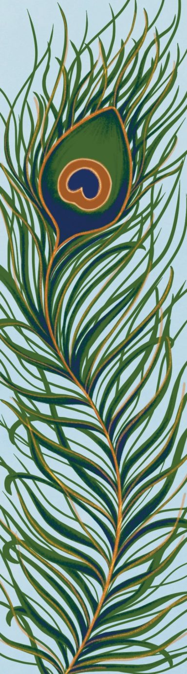 Bookmark design, digital drawing of a peacock feather