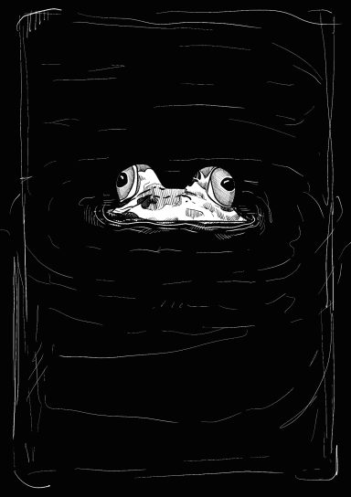 digital illustration of a frogs face peaking out of black water