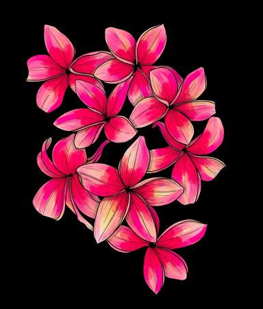 Drawing of tropical flowers in bright pink tones on black background
