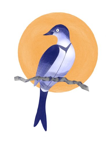 Bird illustration in watercolour effect, based on Chinese porcelain painting